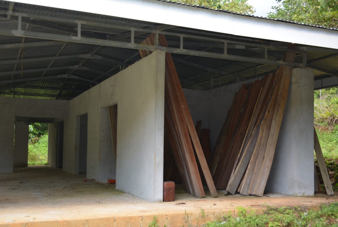 DEVELOPMENT PROPERTY WITH A HOUSE AND RIVER ACCESS,  IN DOS BOCAS SAVEGRE – 73 ACRES