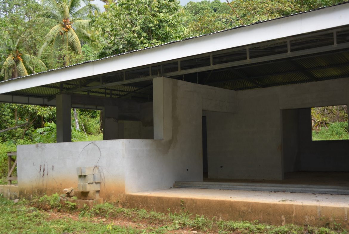 DEVELOPMENT PROPERTY WITH A HOUSE AND RIVER ACCESS,  IN DOS BOCAS SAVEGRE – 73 ACRES