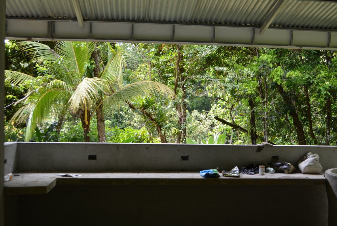 DEVELOPMENT PROPERTY WITH A HOUSE AND RIVER ACCESS,  IN DOS BOCAS SAVEGRE – 73 ACRES