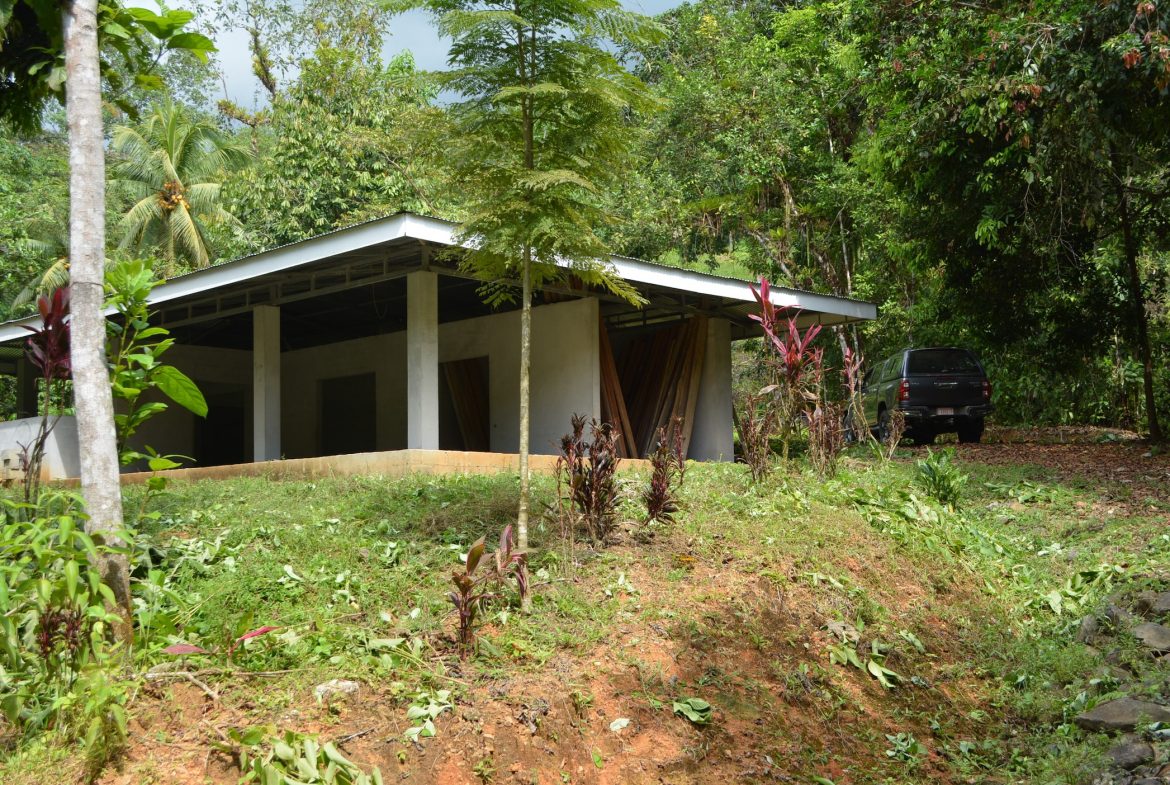 DEVELOPMENT PROPERTY WITH A HOUSE AND RIVER ACCESS,  IN DOS BOCAS SAVEGRE – 73 ACRES
