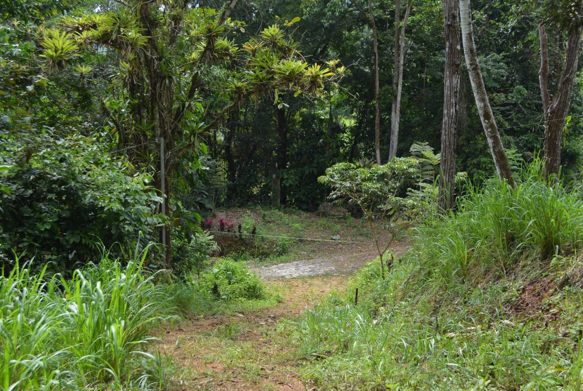 DEVELOPMENT PROPERTY WITH A HOUSE AND RIVER ACCESS,  IN DOS BOCAS SAVEGRE – 73 ACRES