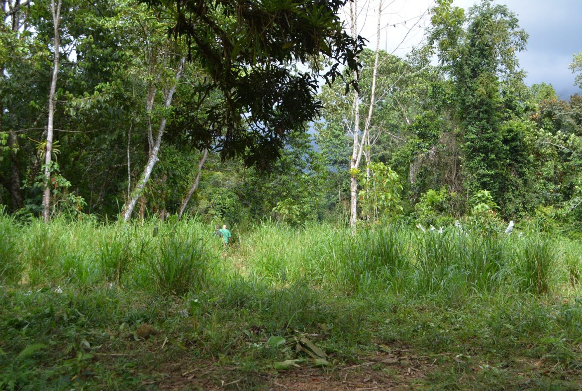 DEVELOPMENT PROPERTY WITH A HOUSE AND RIVER ACCESS,  IN DOS BOCAS SAVEGRE – 73 ACRES