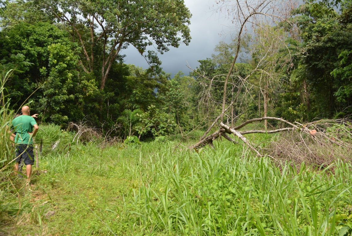DEVELOPMENT PROPERTY WITH A HOUSE AND RIVER ACCESS,  IN DOS BOCAS SAVEGRE – 73 ACRES