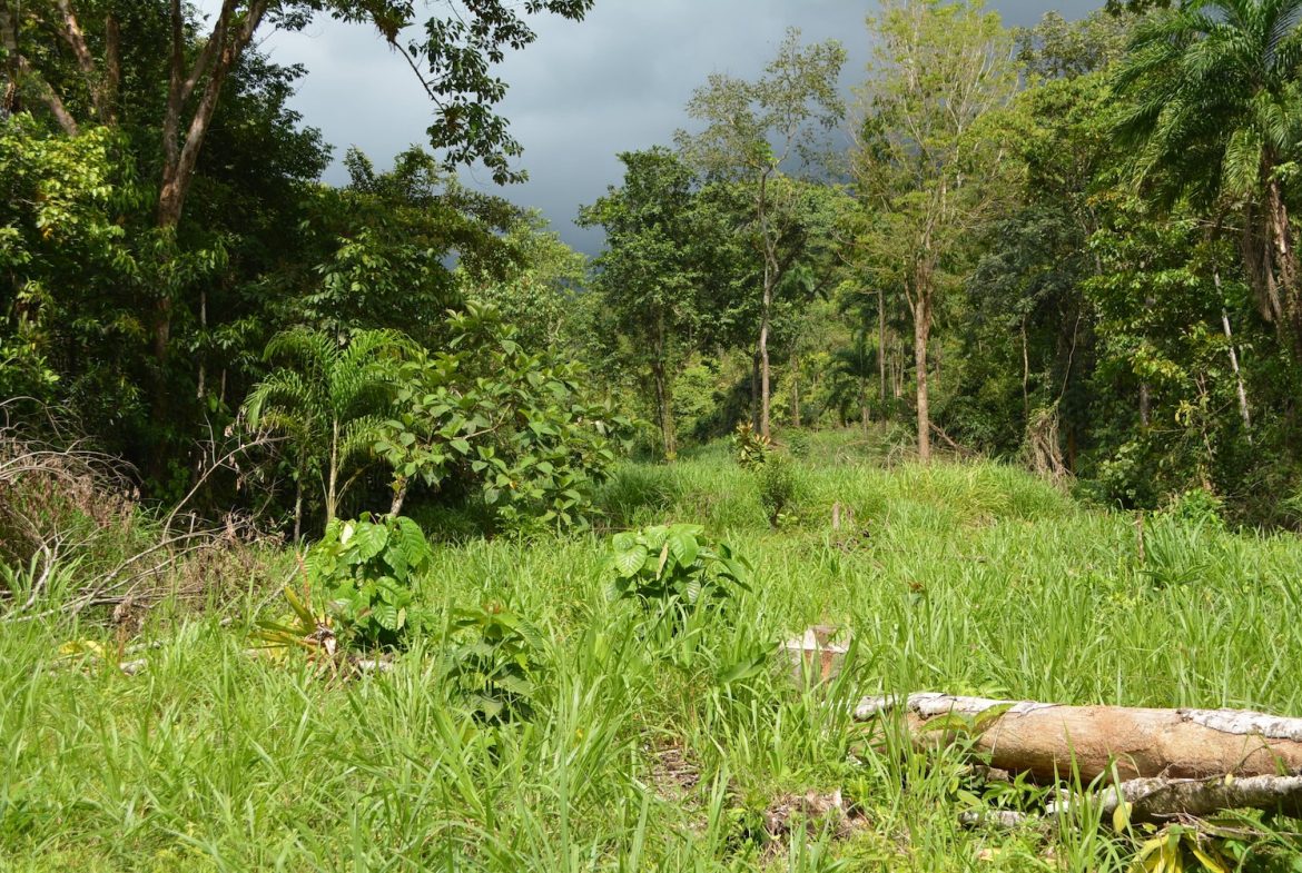 DEVELOPMENT PROPERTY WITH A HOUSE AND RIVER ACCESS,  IN DOS BOCAS SAVEGRE – 73 ACRES