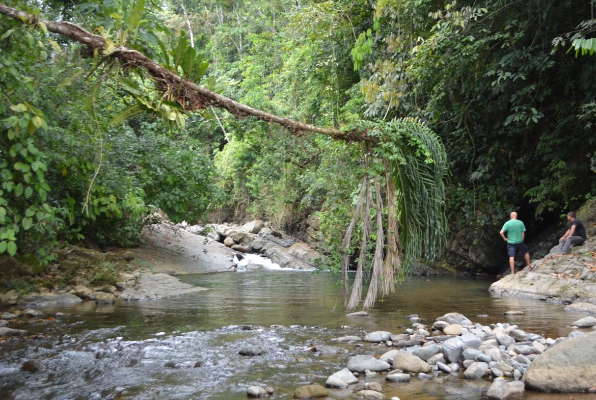 DEVELOPMENT PROPERTY WITH A HOUSE AND RIVER ACCESS,  IN DOS BOCAS SAVEGRE – 73 ACRES