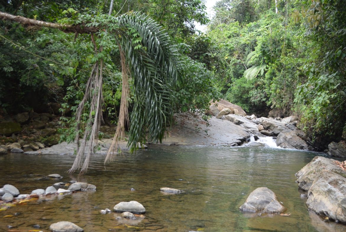 DEVELOPMENT PROPERTY WITH A HOUSE AND RIVER ACCESS,  IN DOS BOCAS SAVEGRE – 73 ACRES