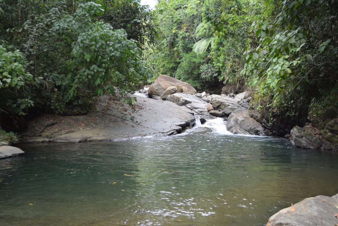 DEVELOPMENT PROPERTY WITH A HOUSE AND RIVER ACCESS,  IN DOS BOCAS SAVEGRE – 73 ACRES