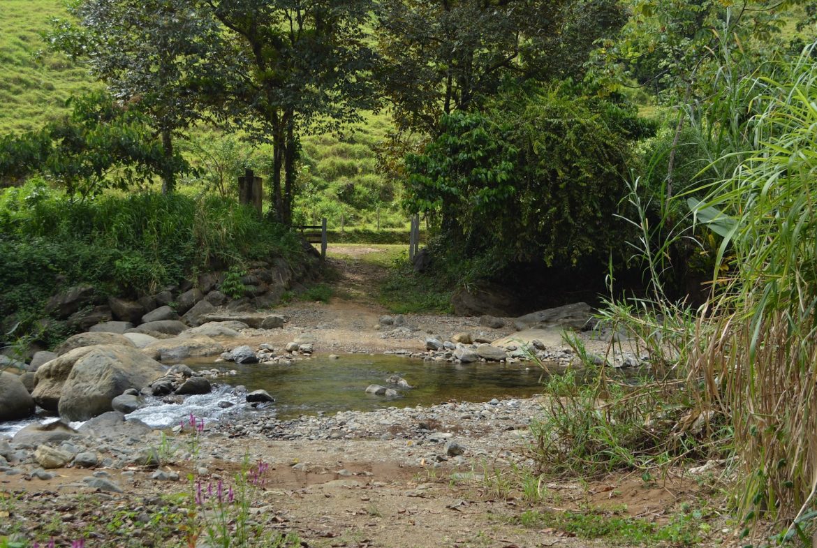 DEVELOPMENT PROPERTY WITH A HOUSE AND RIVER ACCESS,  IN DOS BOCAS SAVEGRE – 73 ACRES