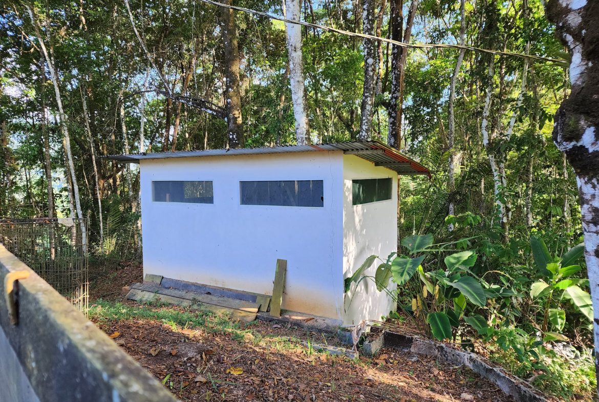 PROPERTY WITH TWO BEDROOMS NEAR TO THE NAUYACA WATERFALLS – 9.12 ACRES