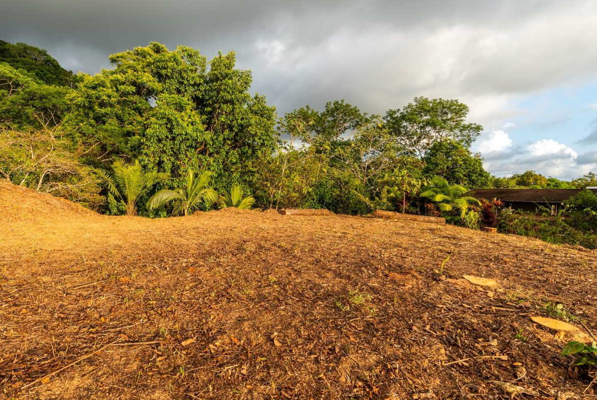 PROPERTY WITH SPECTACULAR SUNSET VIEWS, IN OJOCHAL – 0.98 ACRES