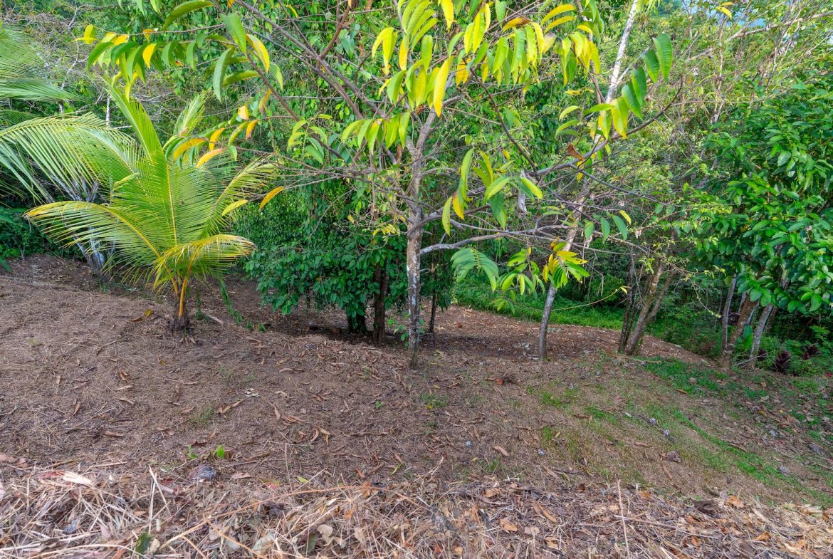 PROPERTY WITH SPECTACULAR SUNSET VIEWS, IN OJOCHAL – 0.98 ACRES