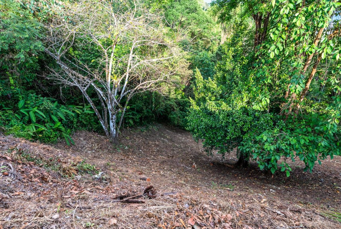 PROPERTY WITH SPECTACULAR SUNSET VIEWS, IN OJOCHAL – 0.98 ACRES