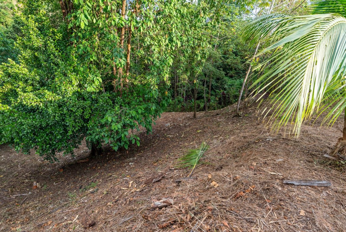PROPERTY WITH SPECTACULAR SUNSET VIEWS, IN OJOCHAL – 0.98 ACRES