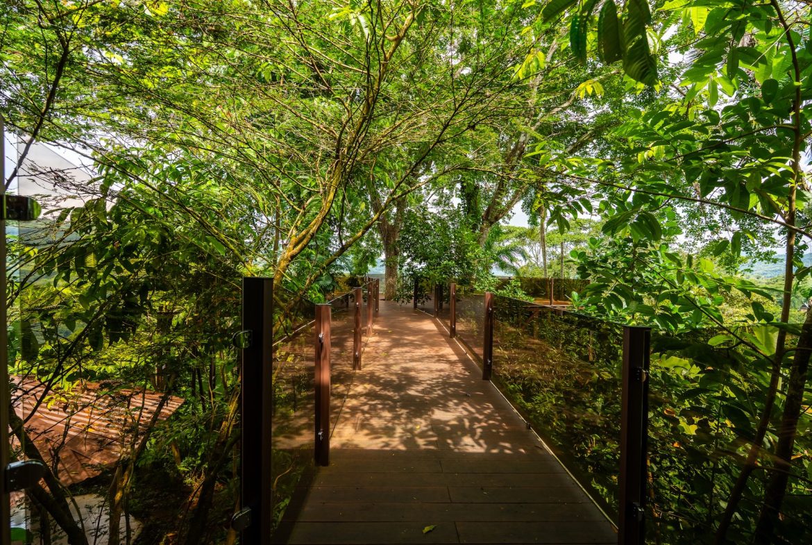 COMMERCIAL PROPERTY WITH TWO BEDROOMS A STEPS OF THE NAUYACA WATERFALL – 4.94 ACRES