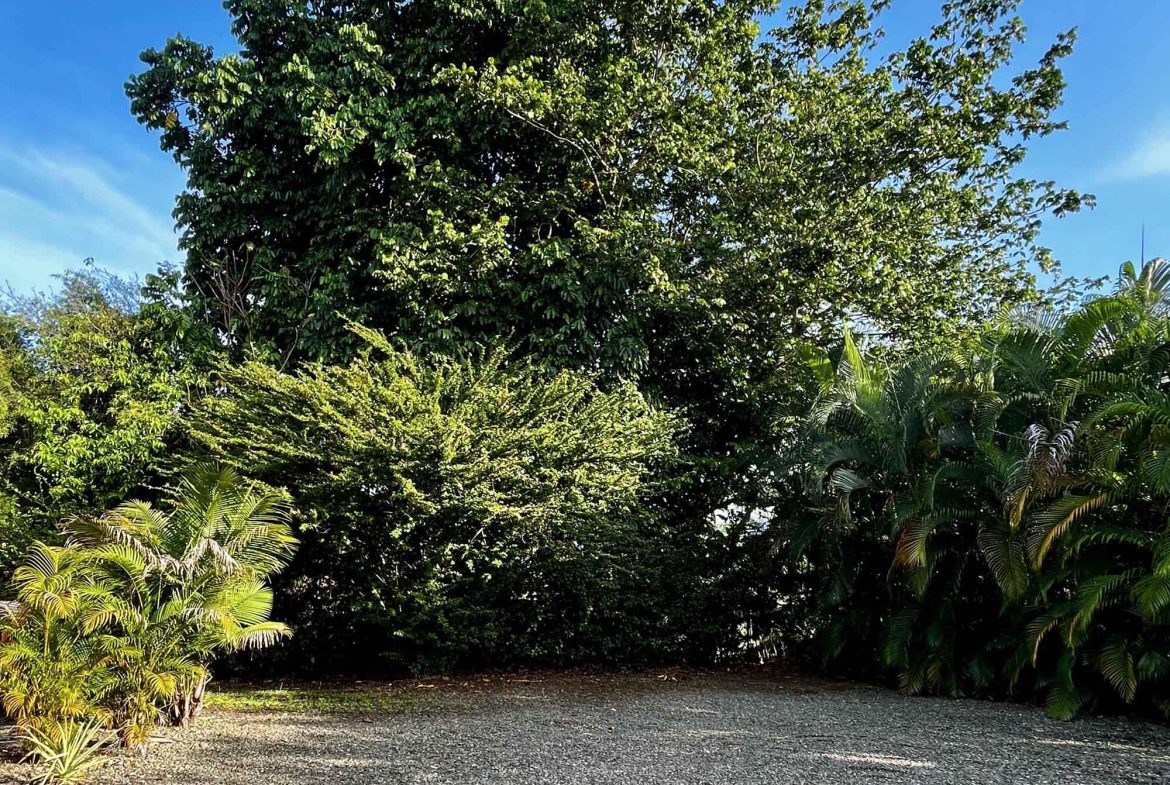 CASA SECRETA: Your Hidden Uvita Escape With Room To Expand – 0.28 Acres