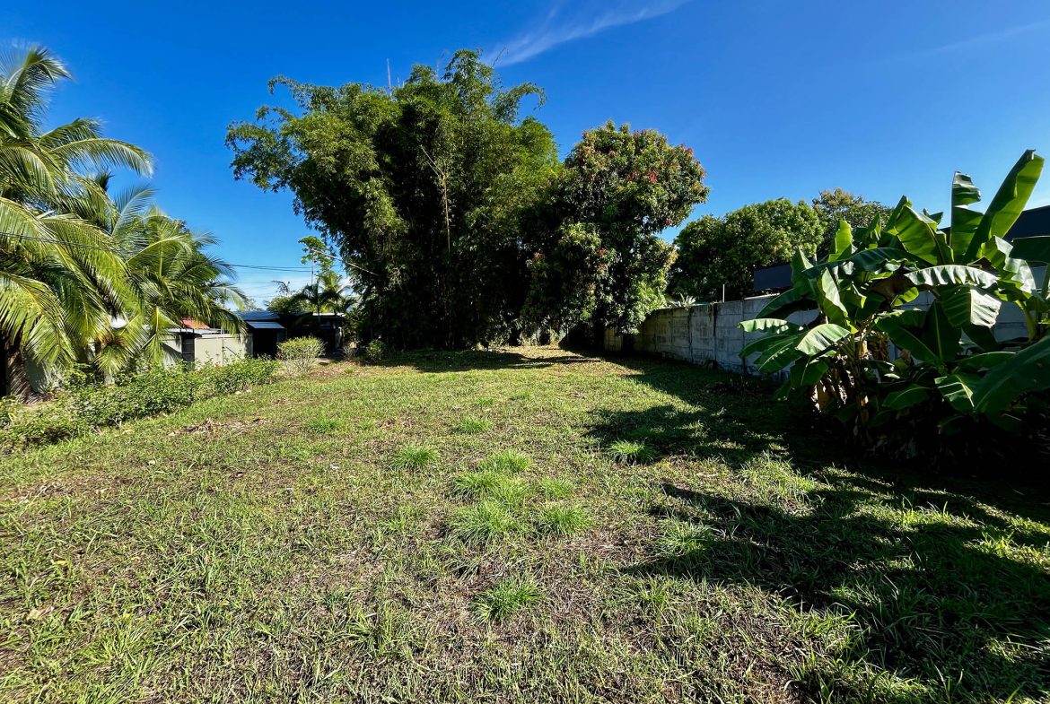 MAGICAL CORNER LOT IN UVITA w/ 8-MINUTE WALK TO NATIONAL PARK BEACH