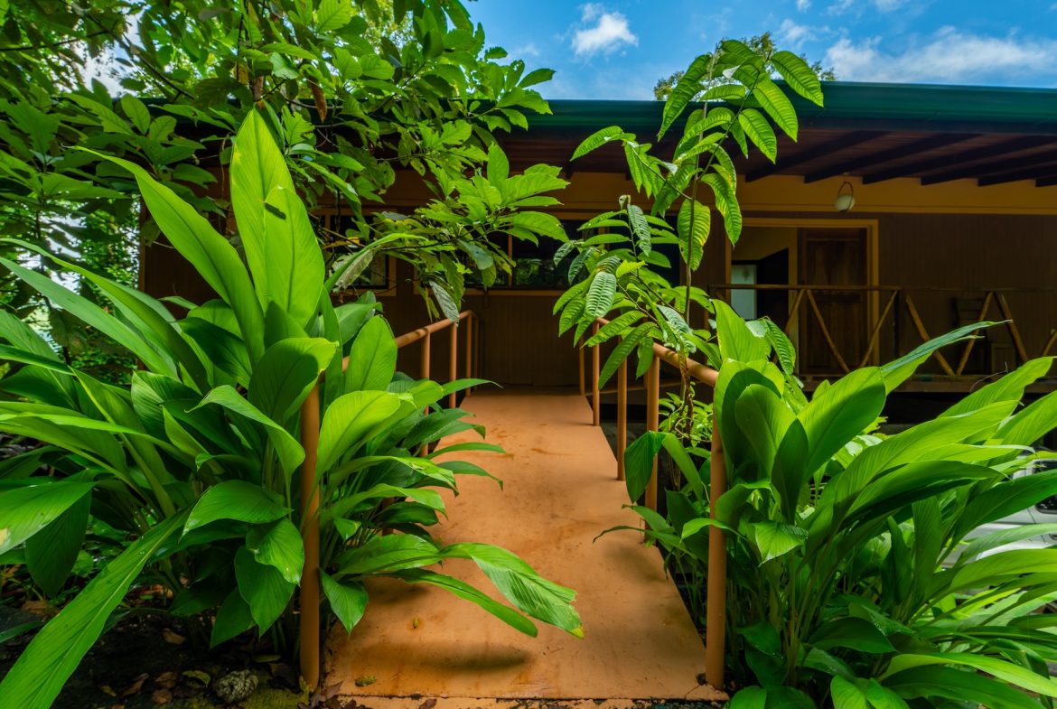 COMMERCIAL PROPERTY WITH TWO BEDROOMS A STEPS OF THE NAUYACA WATERFALL – 4.94 ACRES