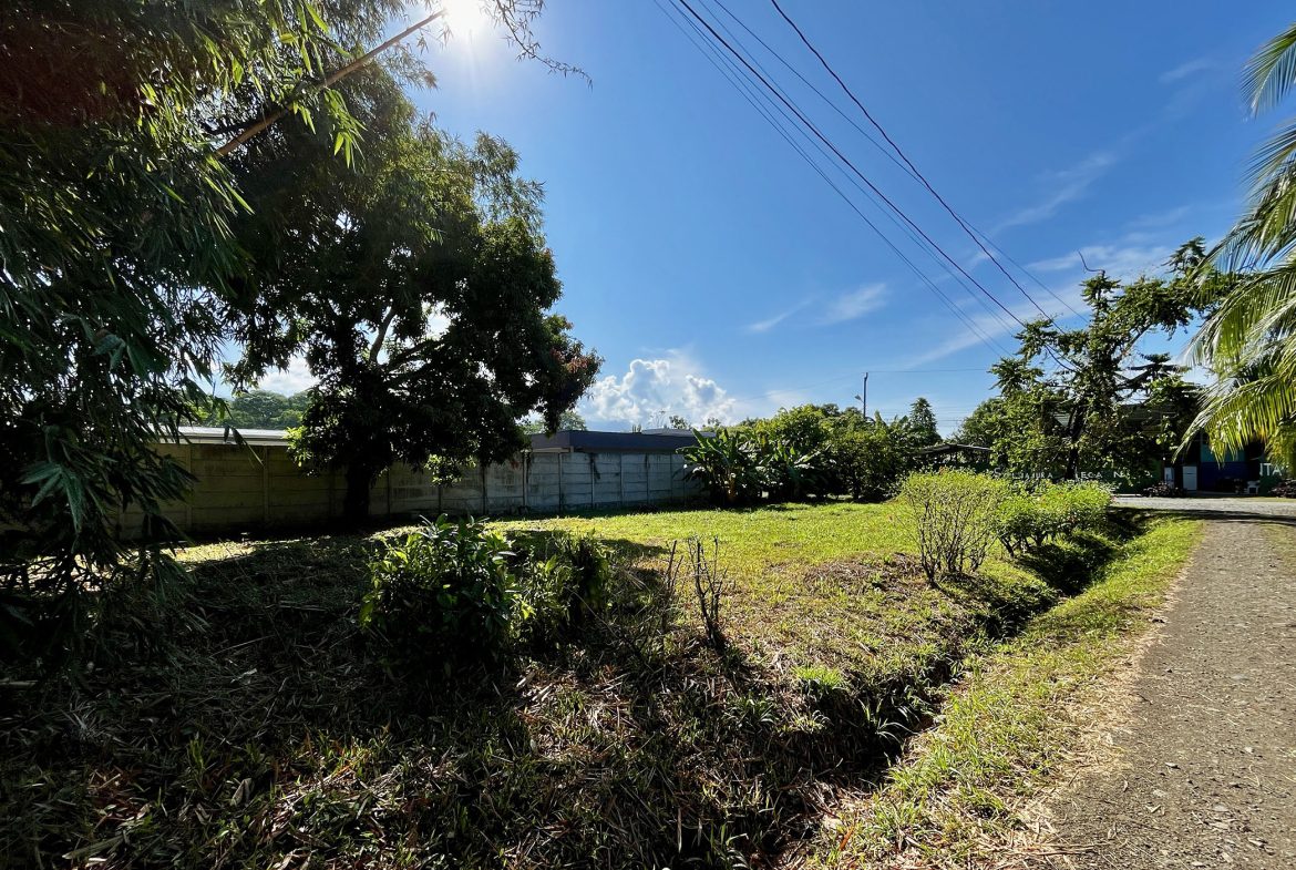 MAGICAL CORNER LOT IN UVITA w/ 8-MINUTE WALK TO NATIONAL PARK BEACH