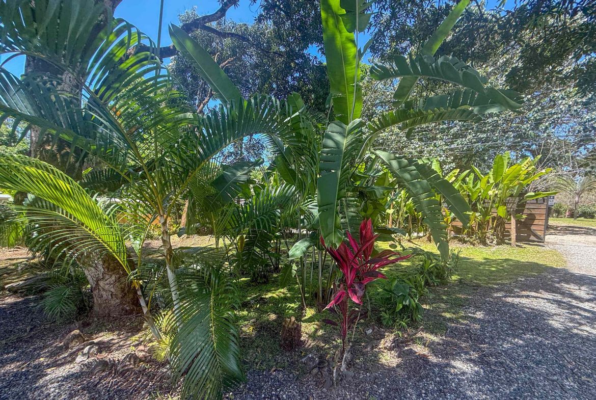 COMMERCIAL PROPERTY WITH ELEVEN BEDROOMS A STEPS OF CREEK, IN OJOCHAL – 2.22 ACRES