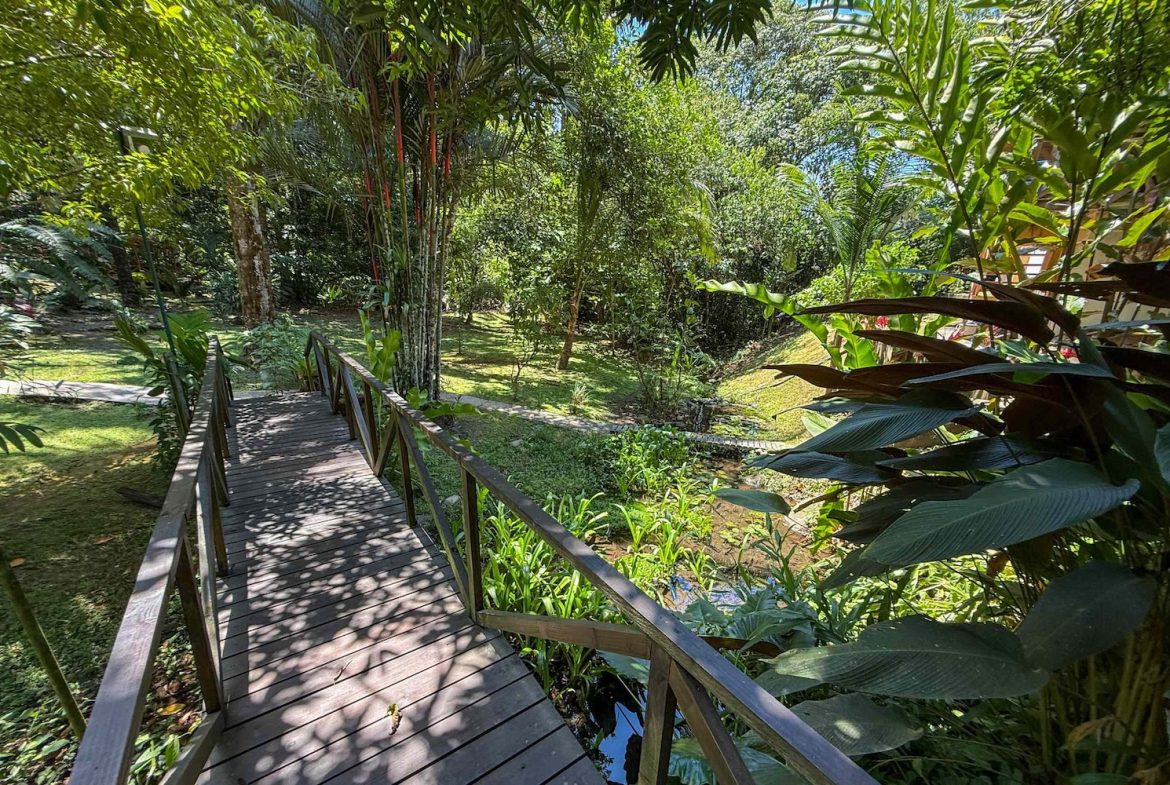 COMMERCIAL PROPERTY WITH ELEVEN BEDROOMS A STEPS OF CREEK, IN OJOCHAL – 2.22 ACRES