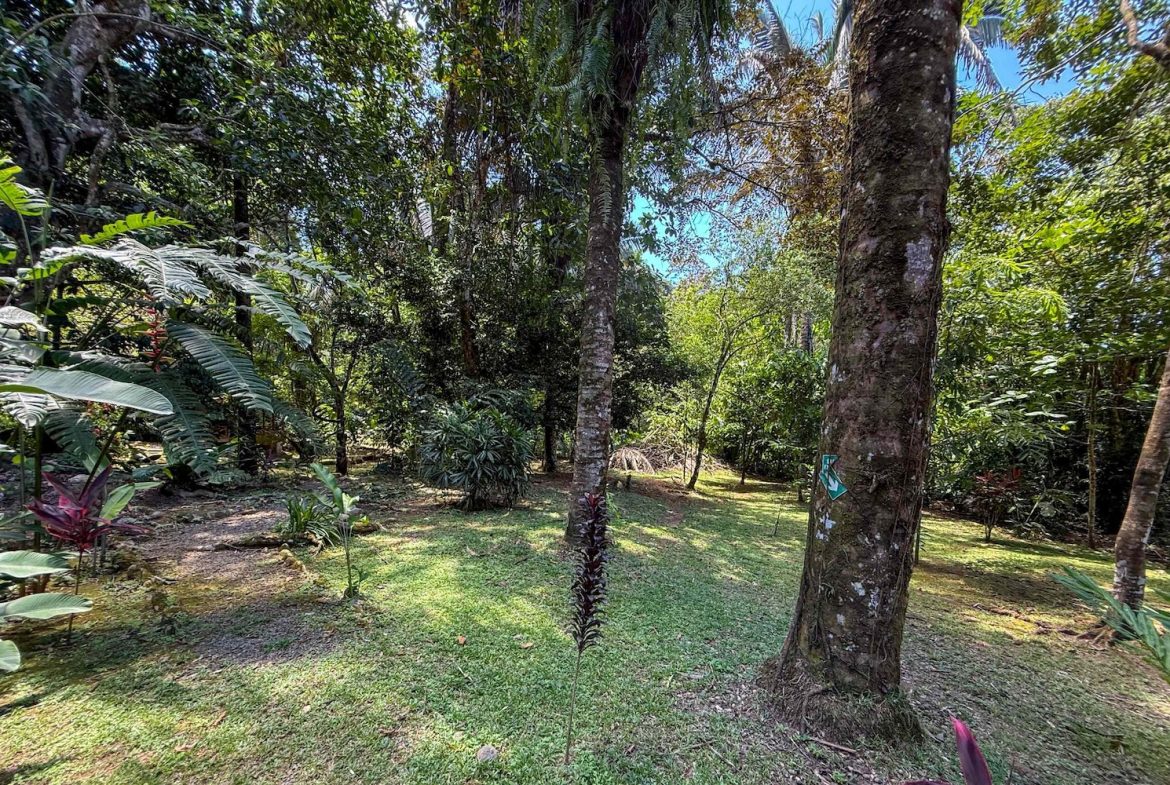 COMMERCIAL PROPERTY WITH ELEVEN BEDROOMS A STEPS OF CREEK, IN OJOCHAL – 2.22 ACRES