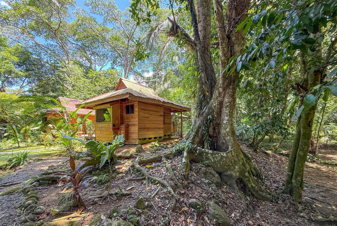 COMMERCIAL PROPERTY WITH ELEVEN BEDROOMS A STEPS OF CREEK, IN OJOCHAL – 2.22 ACRES