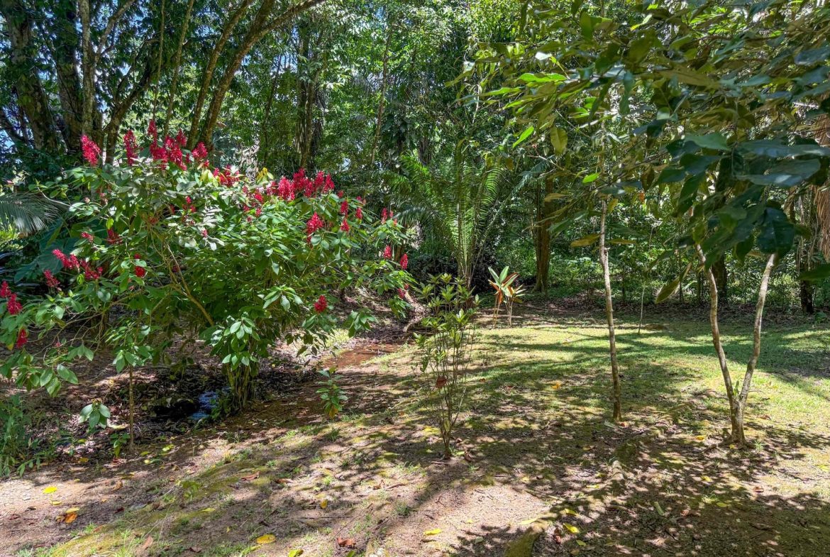 COMMERCIAL PROPERTY WITH ELEVEN BEDROOMS A STEPS OF CREEK, IN OJOCHAL – 2.22 ACRES