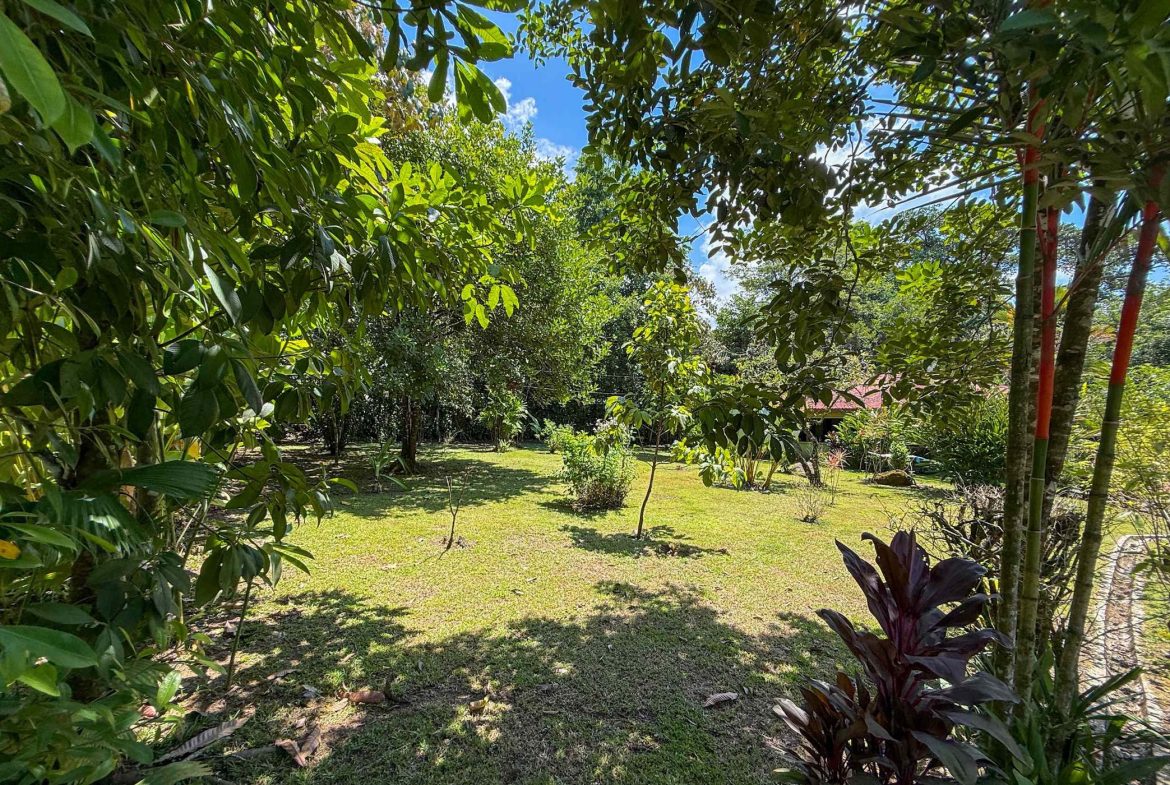 COMMERCIAL PROPERTY WITH ELEVEN BEDROOMS A STEPS OF CREEK, IN OJOCHAL – 2.22 ACRES