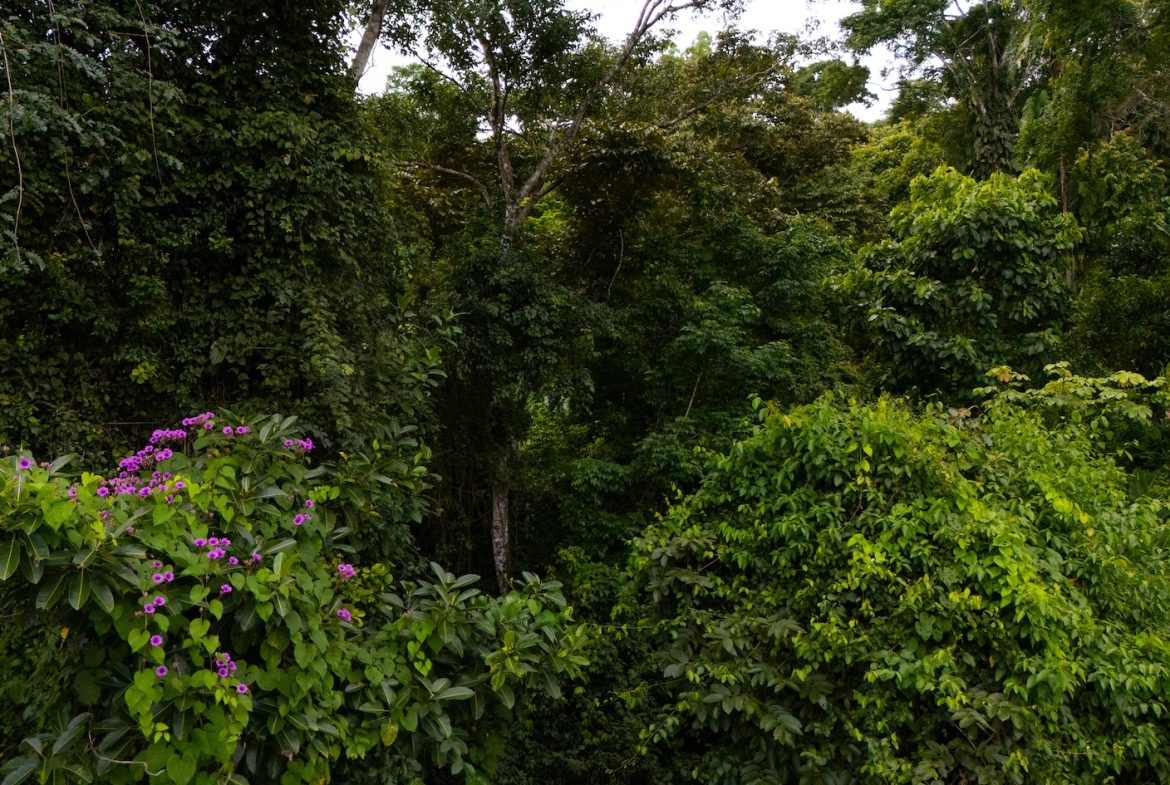 COMMERCIAL PROPERTY WITH TWO BEDROOMS A STEPS OF THE NAUYACA WATERFALL – 4.94 ACRES