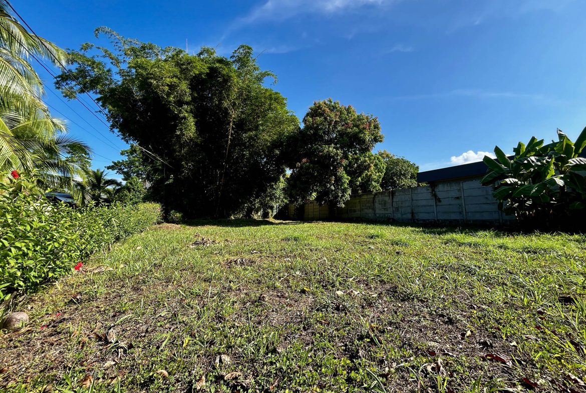MAGICAL CORNER LOT IN UVITA w/ 8-MINUTE WALK TO NATIONAL PARK BEACH