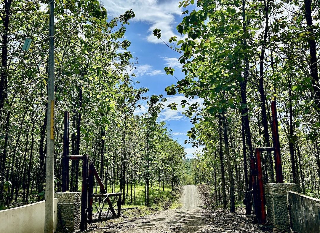 BUILDING PROPERTY WITH A CREEK, IN MATAPALO – 1.24 ACRES