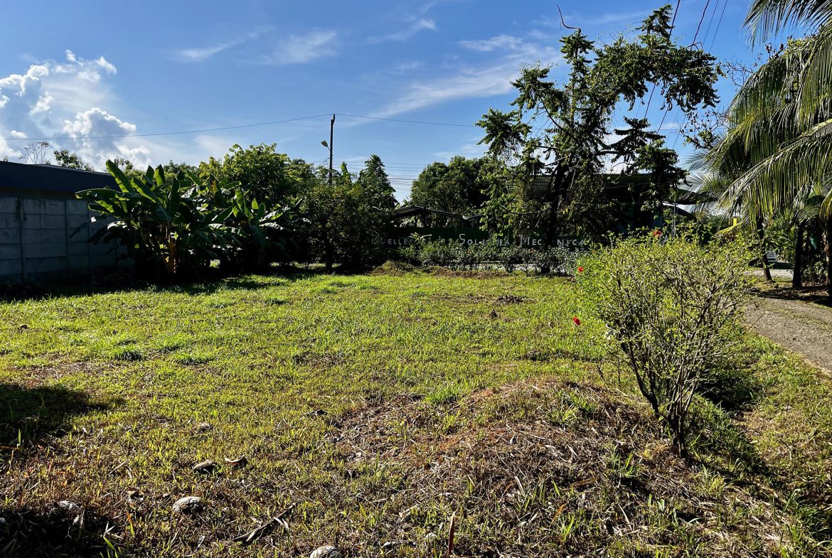 MAGICAL CORNER LOT IN UVITA w/ 8-MINUTE WALK TO NATIONAL PARK BEACH