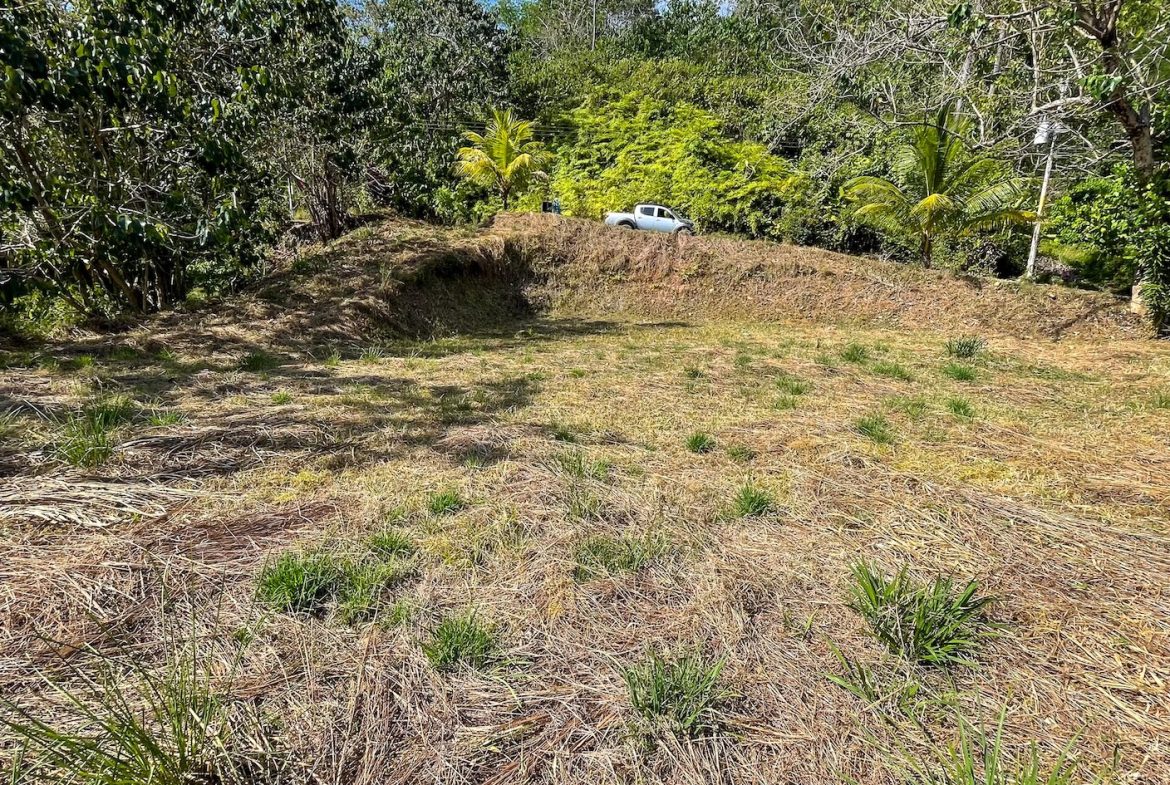 BUILDING PROPERTY IN A GATED COMMUNITY AND PARTIAL OCEAN VIEWS, IN OJOCHAL – 1 ACRES