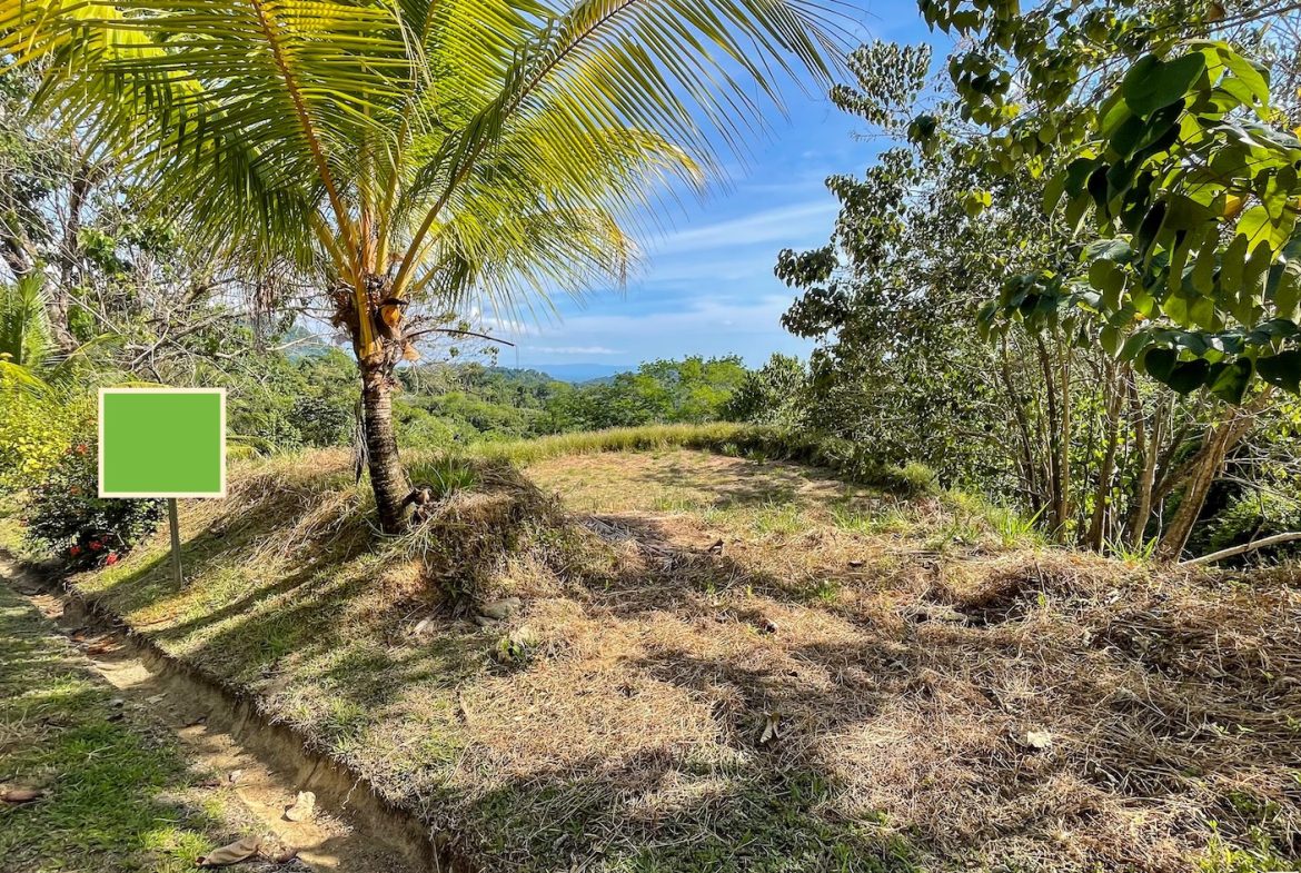 BUILDING PROPERTY IN A GATED COMMUNITY AND PARTIAL OCEAN VIEWS, IN OJOCHAL – 1 ACRES
