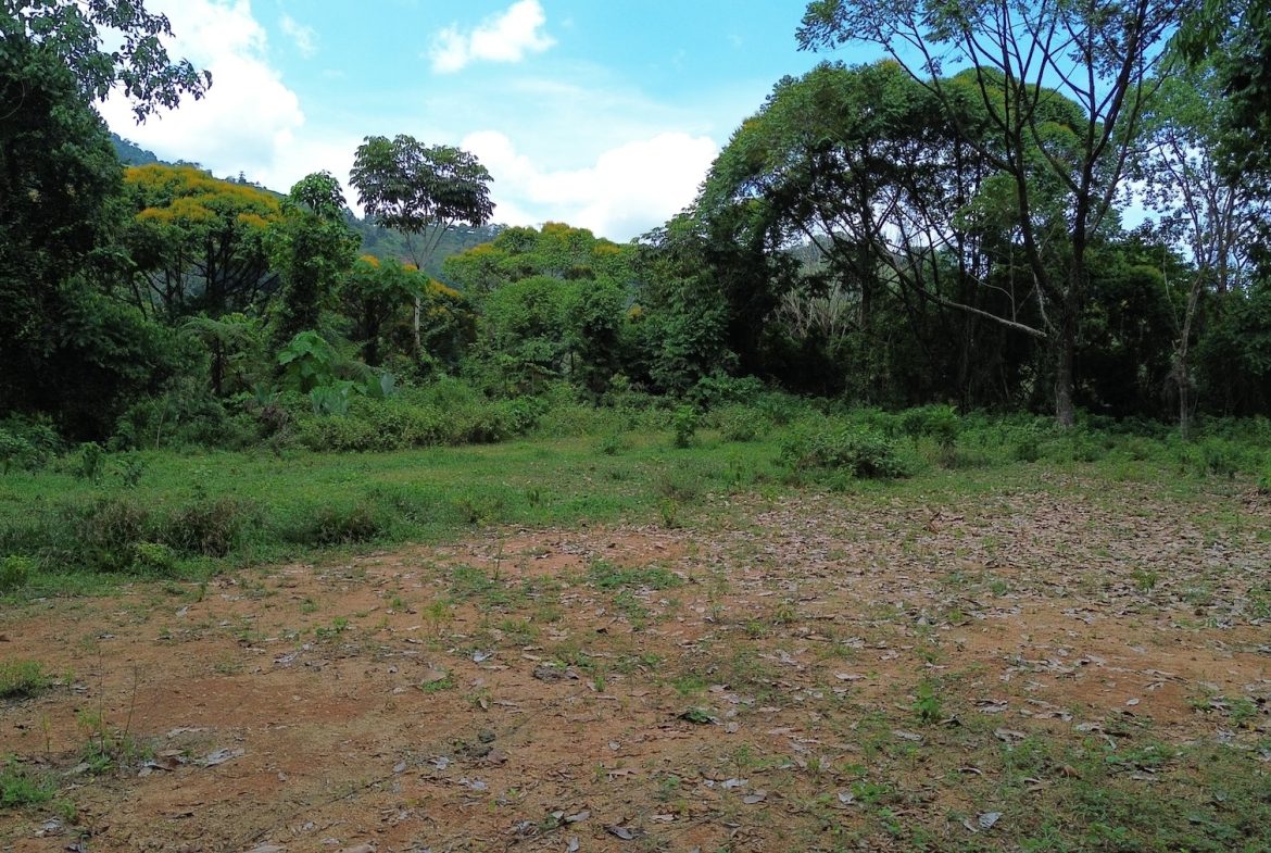 DEVELOPMENT PROPERTY WITH A HOUSE AND RIVER ACCESS,  IN DOS BOCAS SAVEGRE – 73 ACRES