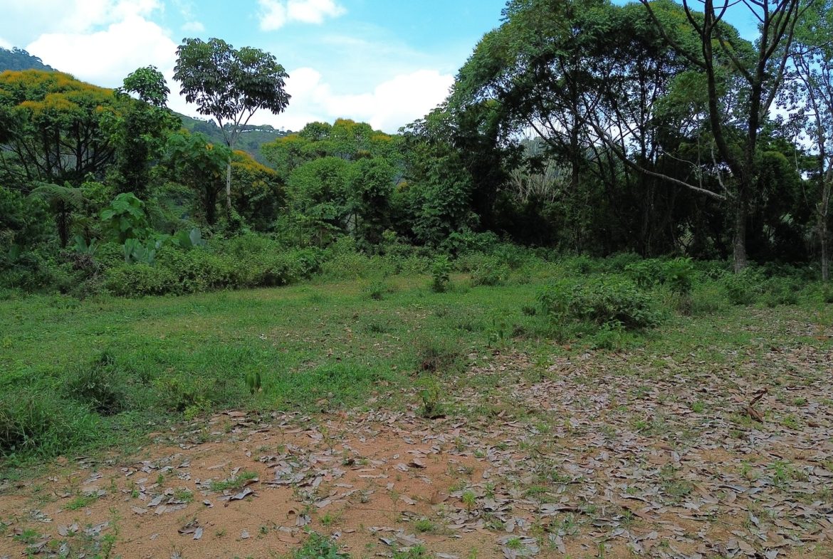 DEVELOPMENT PROPERTY WITH A HOUSE AND RIVER ACCESS,  IN DOS BOCAS SAVEGRE – 73 ACRES