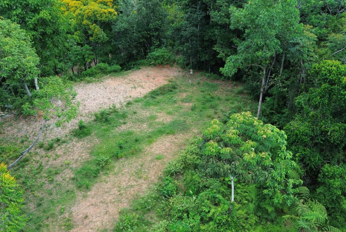 DEVELOPMENT PROPERTY WITH A HOUSE AND RIVER ACCESS,  IN DOS BOCAS SAVEGRE – 73 ACRES