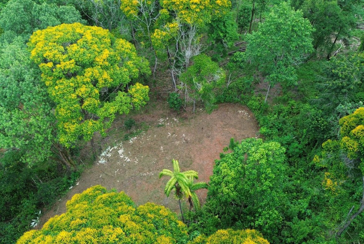 DEVELOPMENT PROPERTY WITH A HOUSE AND RIVER ACCESS,  IN DOS BOCAS SAVEGRE – 73 ACRES