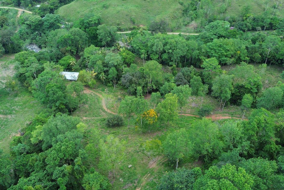 DEVELOPMENT PROPERTY WITH A HOUSE AND RIVER ACCESS,  IN DOS BOCAS SAVEGRE – 73 ACRES