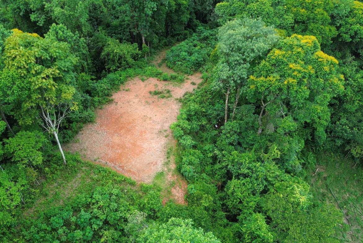 DEVELOPMENT PROPERTY WITH A HOUSE AND RIVER ACCESS,  IN DOS BOCAS SAVEGRE – 73 ACRES