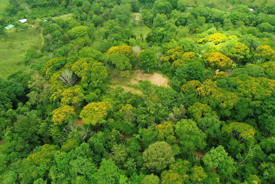 DEVELOPMENT PROPERTY WITH A HOUSE AND RIVER ACCESS,  IN DOS BOCAS SAVEGRE – 73 ACRES