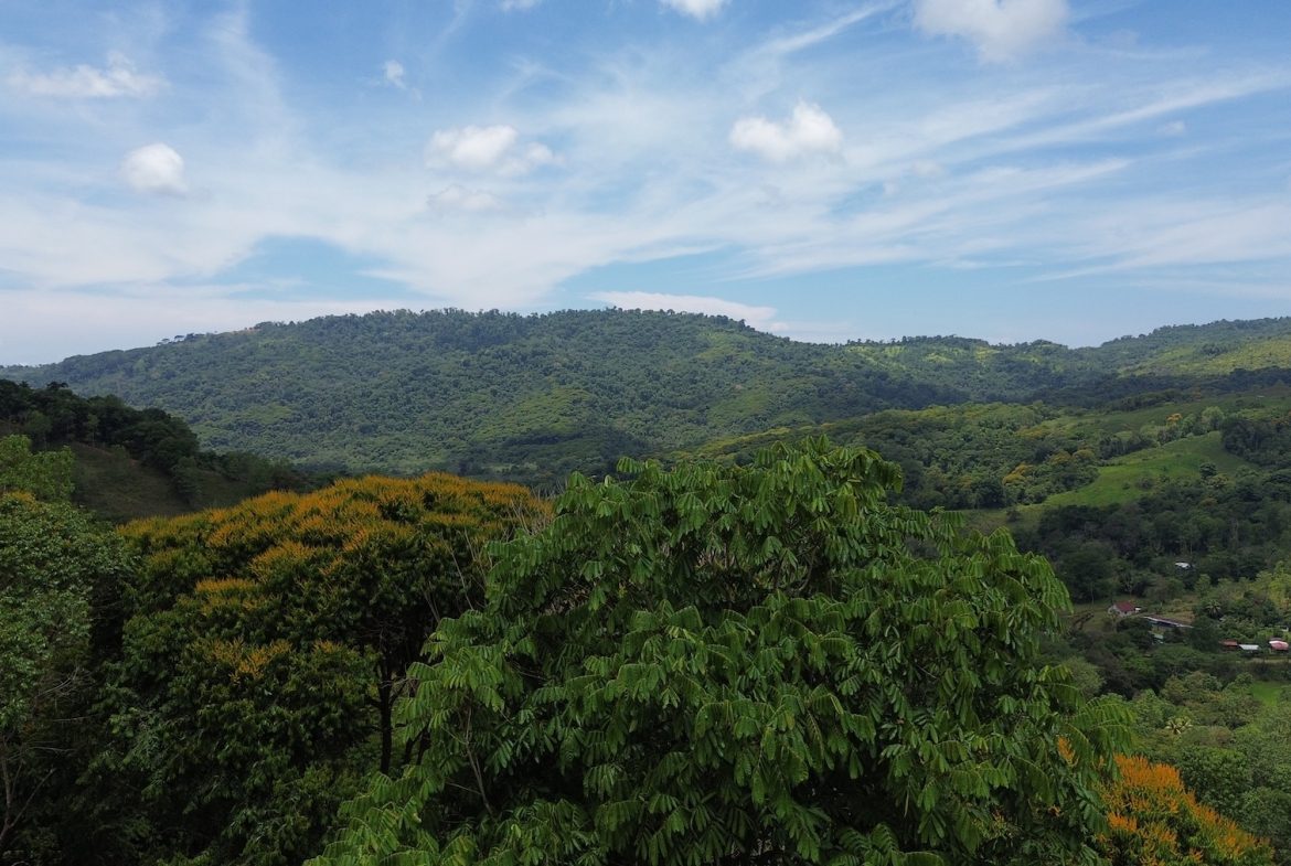 DEVELOPMENT PROPERTY WITH A HOUSE AND RIVER ACCESS,  IN DOS BOCAS SAVEGRE – 73 ACRES