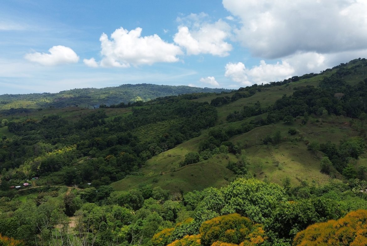 DEVELOPMENT PROPERTY WITH A HOUSE AND RIVER ACCESS,  IN DOS BOCAS SAVEGRE – 73 ACRES