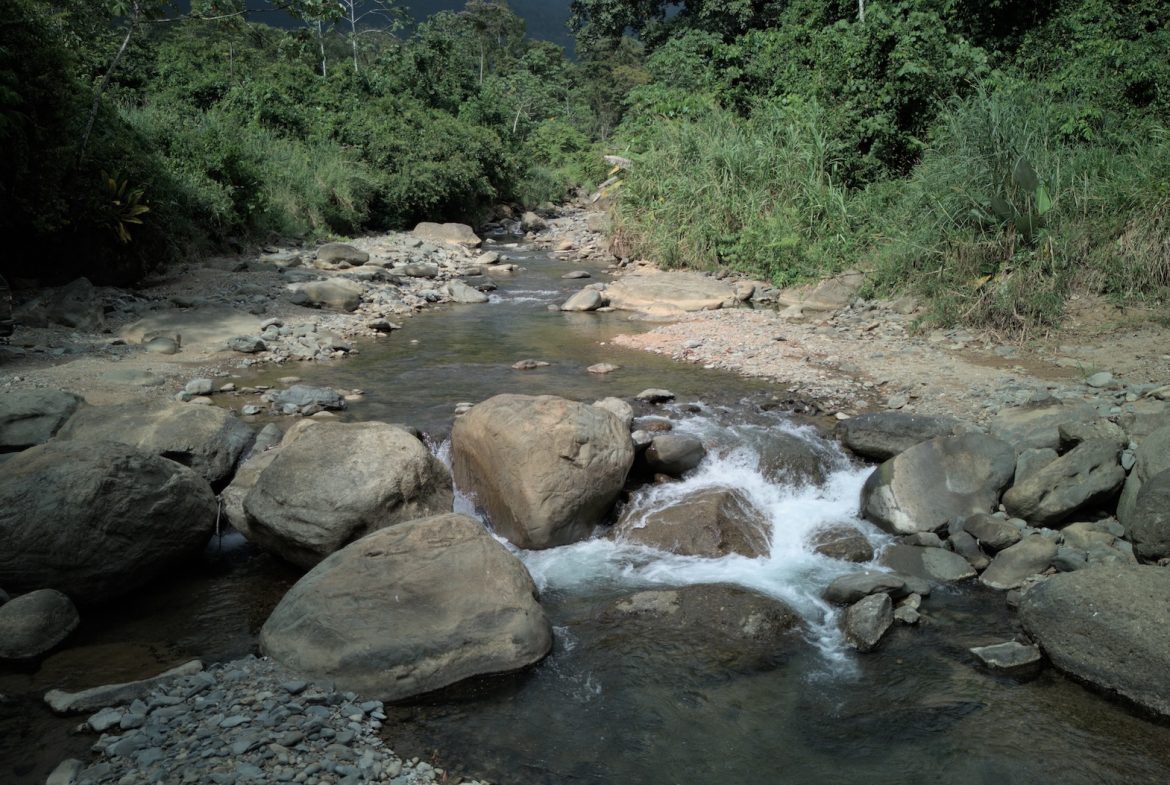 DEVELOPMENT PROPERTY WITH A HOUSE AND RIVER ACCESS,  IN DOS BOCAS SAVEGRE – 73 ACRES