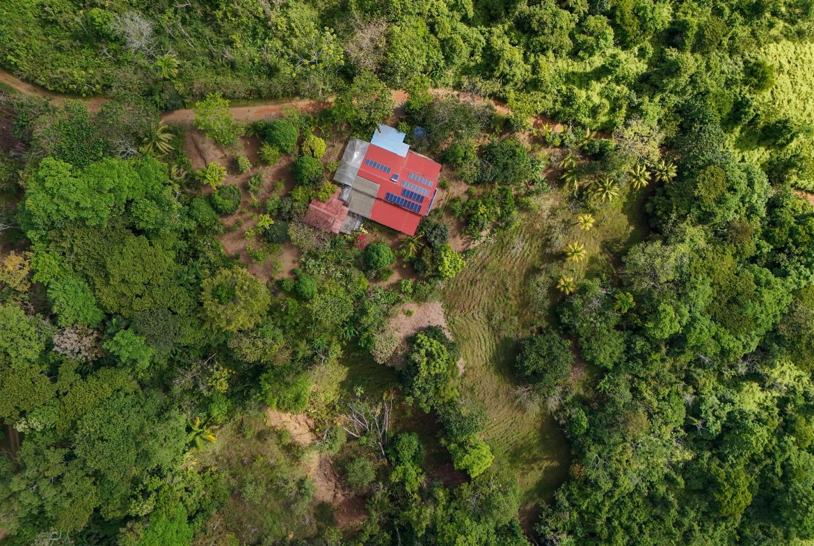 Majestic Ocean View Home With Solar & Mature Exotic Fruit Trees – 2.4 Acres