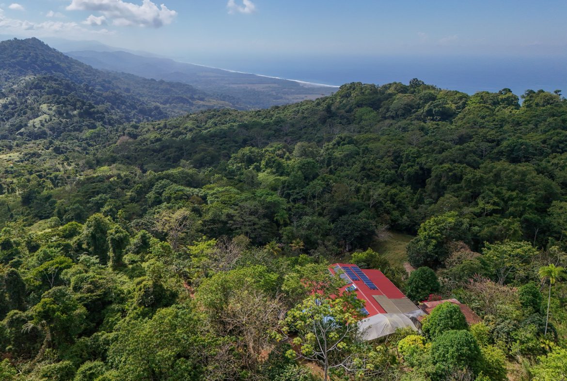 Majestic Ocean View Home With Solar & Mature Exotic Fruit Trees – 2.4 Acres