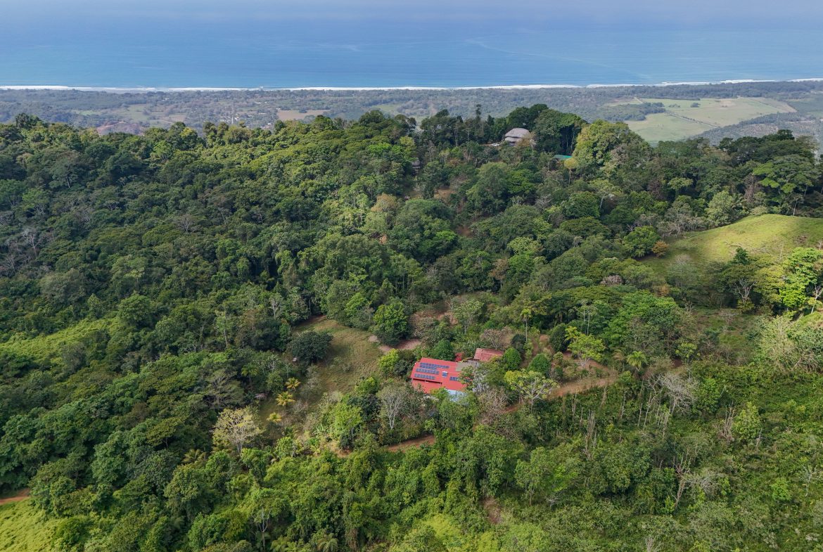 Majestic Ocean View Home With Solar & Mature Exotic Fruit Trees – 2.4 Acres