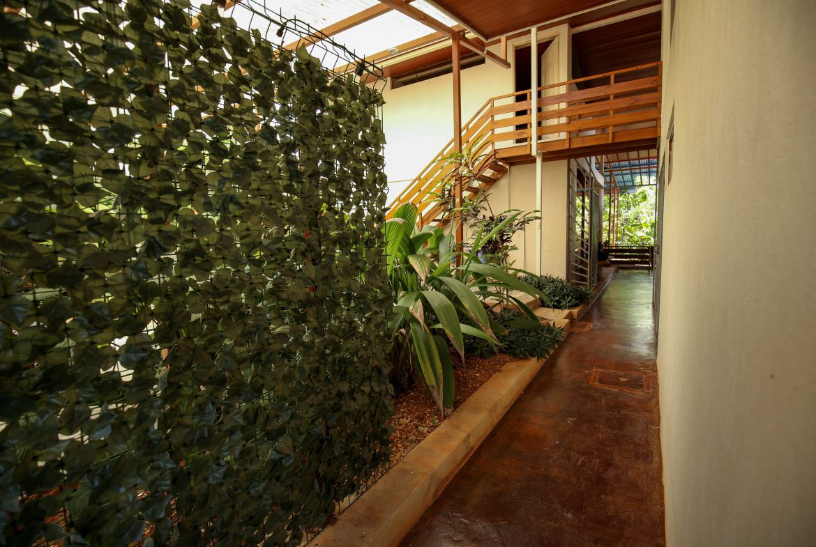 Majestic Ocean View Home With Solar & Mature Exotic Fruit Trees – 2.4 Acres