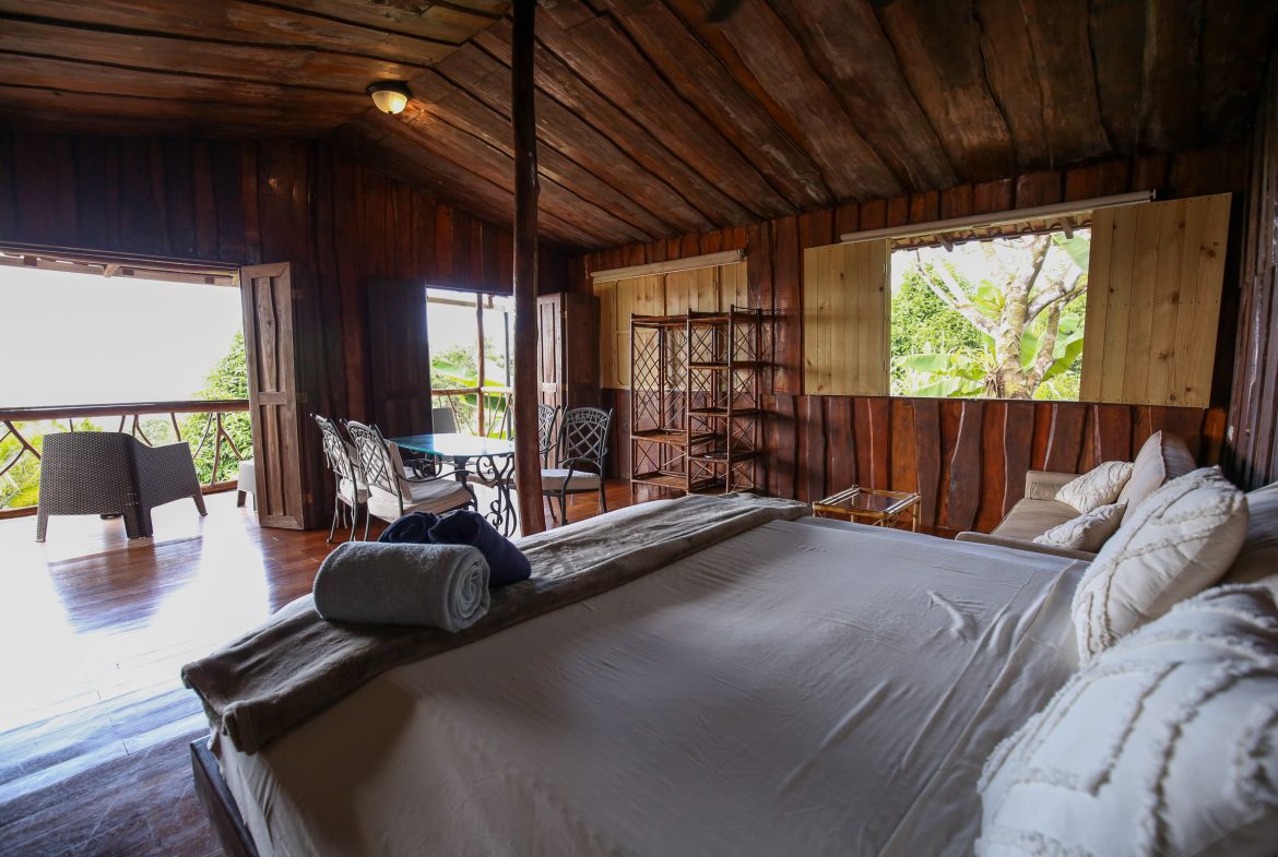 Majestic Ocean View Home With Solar & Mature Exotic Fruit Trees – 2.4 Acres