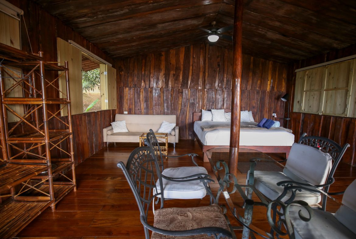 Majestic Ocean View Home With Solar & Mature Exotic Fruit Trees – 2.4 Acres